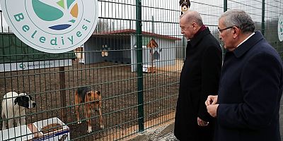 Cumhurbaşkanı Erdoğan, Beykoz Belediyesi Hayvan Rehabilitasyon Merkezini ziyaret etti