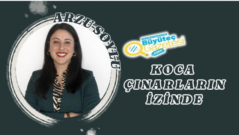 Koca Çınarların İzinde