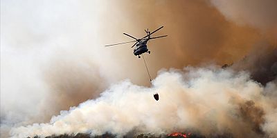 Tarım ve Orman Bakanı Bekir Pakdemirli