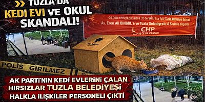 AK Parti’nin Kedi Evleri Çalındı, Failler Belediye Personeli