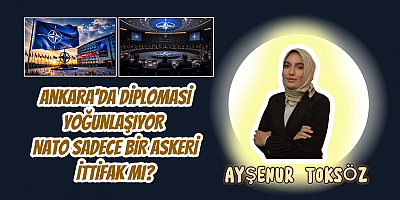 Gazeteci yazar şair A.Ayşenur TOKSÖZ