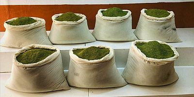 Bakan Soylu: Diyarbakır Lice Tepe köyü kırsalında