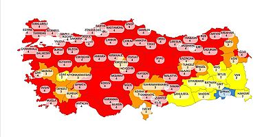 Covid-19 risk değerlendirme haritası açıklandı