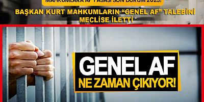 KASSAK Başkanı Kurt Mahkumların ‘Genel Af’ Talebini Meclis’e İletti