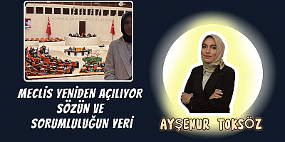 Meclis Yeniden Açılıyor: Sözün ve Sorumluluğun Yeri