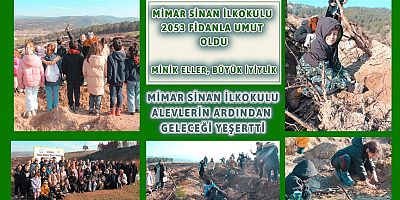 Mimar Sinan İlkokulu: 2053 Fidanla Umut Oldu