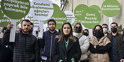 Mimari ve Şehircilik Platformundan İBB'ye çınar ağacı tepkisi