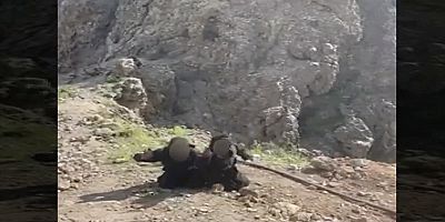 MSB, sözde yönetim kadrosundan 2 PKK'lı teröristin teslim olma görüntülerini paylaştı