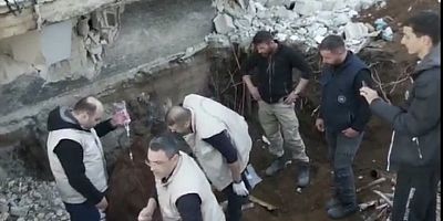 Tarım ve Orman Müdürlüğü 274.Saatte “Sarı İneği” Sağ Çıkardı 