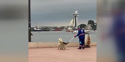 Temizlik Personeli ve Köpeğin Yürekleri Isıtan Görüntüsü 