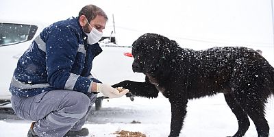 Tuzla Belediyesi Ekipleri 63 Araç ve 450 Personel İle Karla Mücadele Çalışmalarını Sürdürüyor