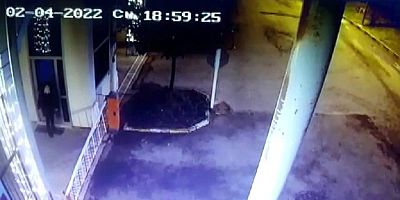 Tuzla'da beslediği köpeklerin saldırısına uğradı, yine de köpekleri beslemekten vazgeçmedi