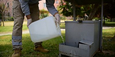 Tuzla’da Tam Kapanmada Sokak Hayvanları Unutulmadı