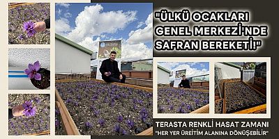 “Ülkü Ocakları Genel Merkezi’nde Safran Bereketi!”