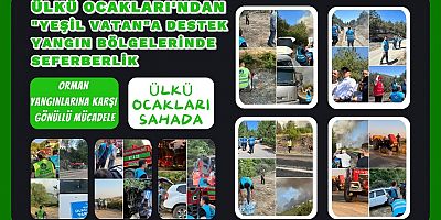 Ülkü Ocakları’ndan “Yeşil Vatan”a Destek: Yangın Bölgelerinde Seferberlik