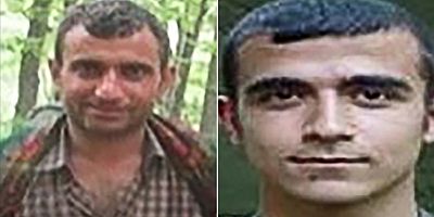 'Yeşil' ve 'gri' kategoride aranan iki terörist etkisiz hale getirildi