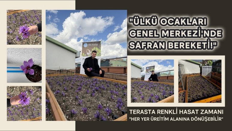 “Ülkü Ocakları Genel Merkezi’nde Safran Bereketi!”
