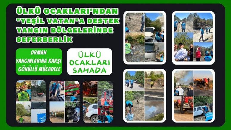 Ülkü Ocakları’ndan “Yeşil Vatan”a Destek: Yangın Bölgelerinde Seferberlik